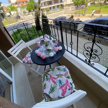 за гости деница