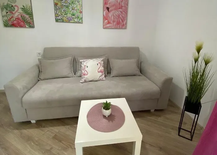 за гости деница 奥布佐尔