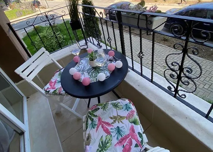 за гости деница